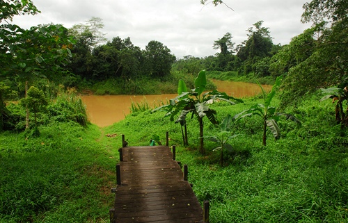 Kutai National Park